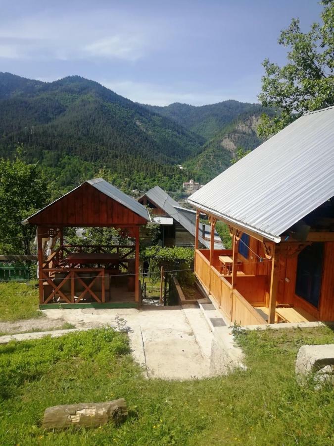 Guest House Ilia Bordżomi Zewnętrze zdjęcie