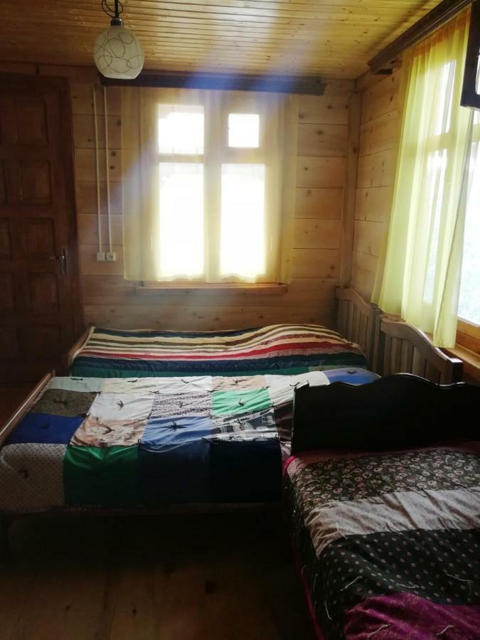 Guest House Ilia Bordżomi Zewnętrze zdjęcie
