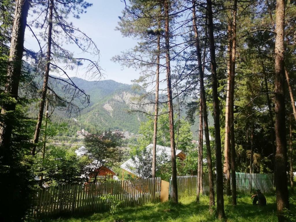 Guest House Ilia Bordżomi Zewnętrze zdjęcie