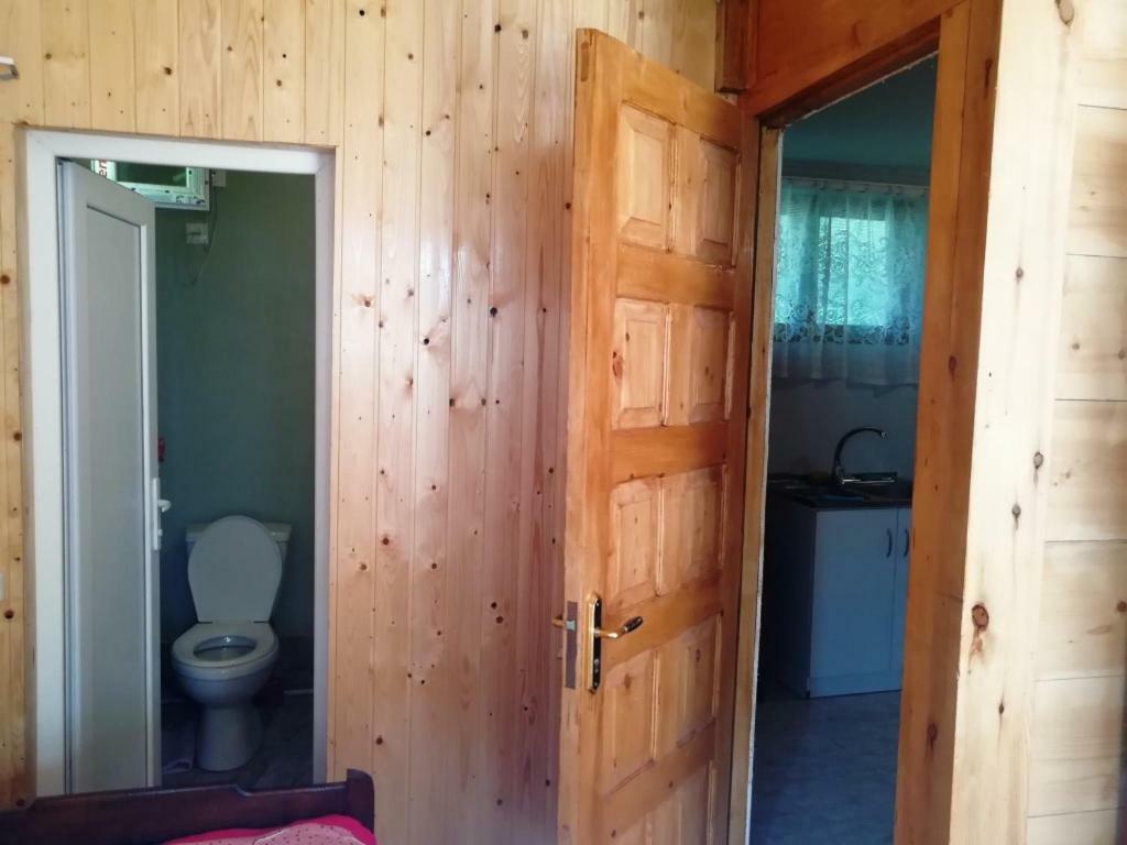 Guest House Ilia Bordżomi Zewnętrze zdjęcie