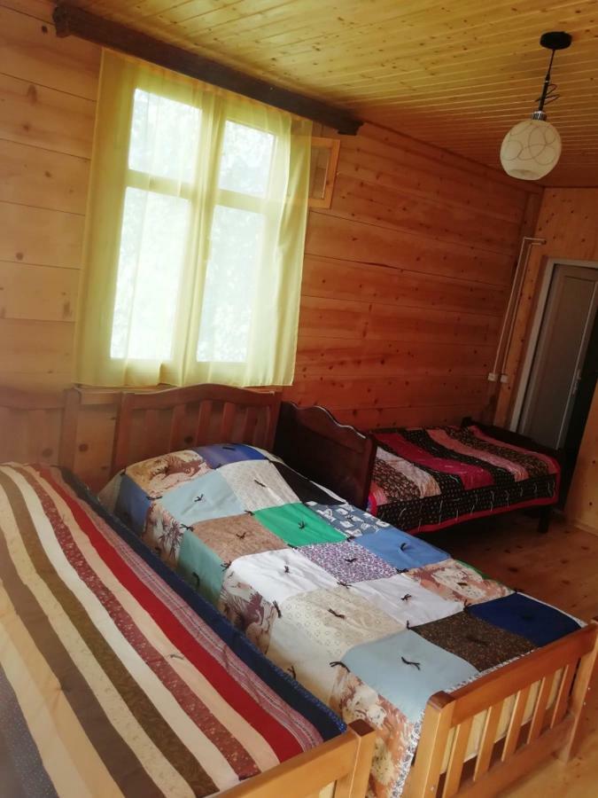 Guest House Ilia Bordżomi Zewnętrze zdjęcie